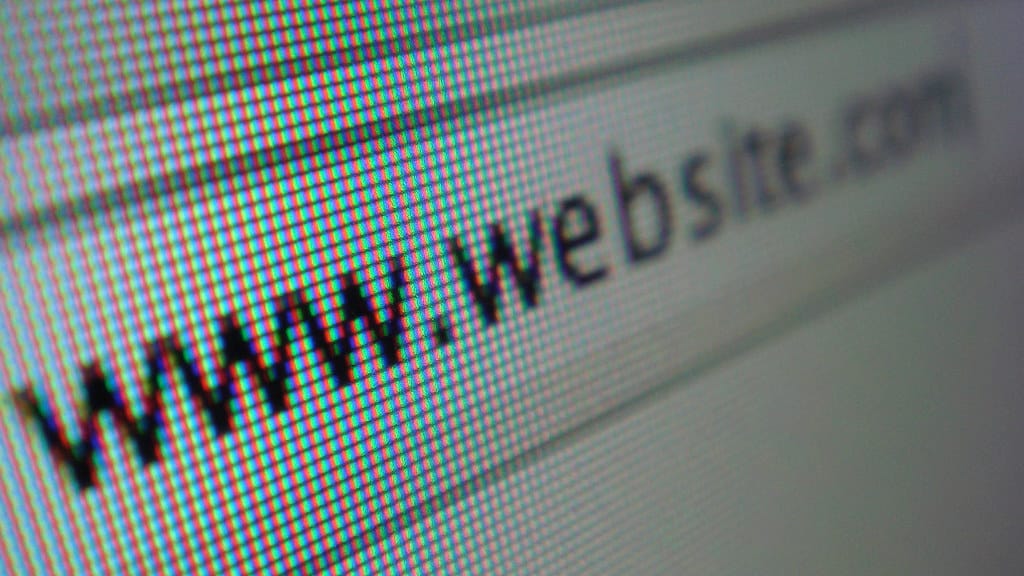 Close-up of a pixelated computer screen displaying a generic url.